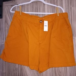 Loft pleated shorts. Large.